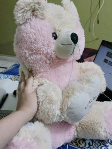 Huge teddy bear
