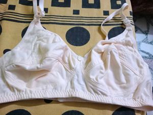Shilpa Lingerie Briefs ( Pack Of 3)