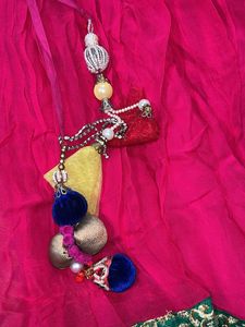 Colourful Lehenga Choli