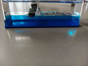 Sailing Titanic Ship And Ice Berg Display Ornament