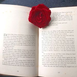 The Resurrectionist By James Bradley And The Summer Of The Sisterhood