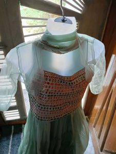 Elegant Bottle  Green Embroidered Dress