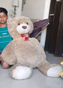 Big Teddybear Self Pickup