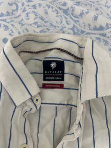 Striped Casual Shirt