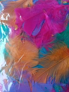 Decorative Feather
