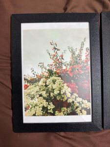 Pinterest Photo Frame Wall Decor