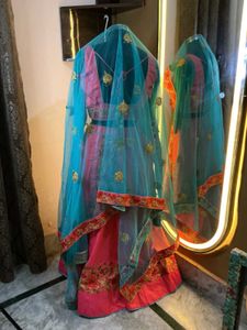 Pink Embroidered Lehenga Choli