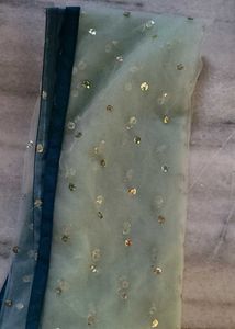Festive Lehenga