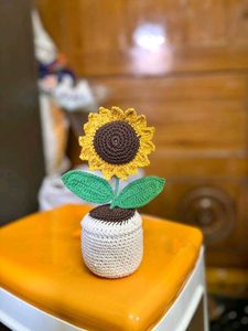 Crochet Sunflower Pot ( Available in Coins 😁)