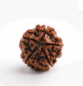 100% Original Rudraksha Pendant Necklace