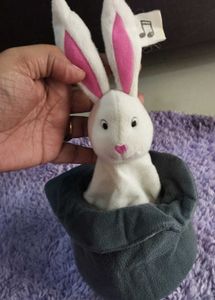 Magical Bunny