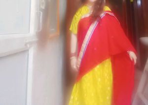 Beautiful Lehnga Cum Saree