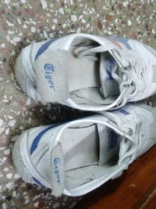 Casual White Sneakers with Accents