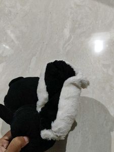 Squirrel🐿 Plushies Imported