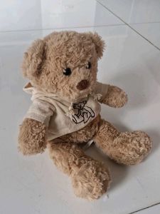 Cute Hoodie Teddy