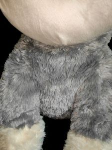 Miss Donkey😄 Big Size