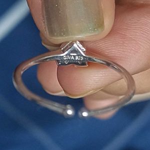 Giva 925 Real Silver Heart Paradise Ring