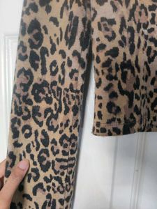 Zara Animal Print Crop Top