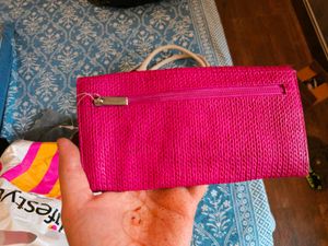 Brand New Baggit Clutch