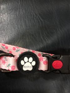 Cherry Print Dog Collar