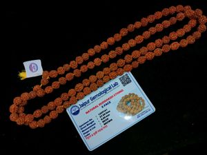 5 Mukhi Japa Rudraksha Mala