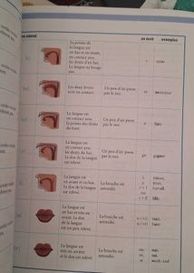Latitudes 1 Textbook Original For French Language
