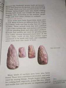 Our Pasts - I History Textbook