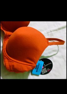 Clovia 42 B