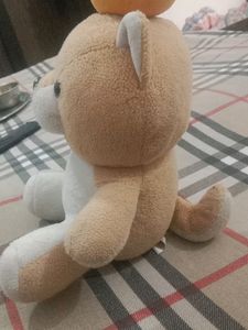 Teddy 🧸🐻