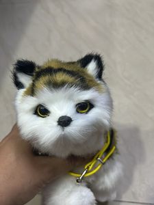 Cute Plush Cat Toy