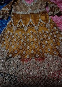 Lehenga And knee length tail Cut top