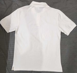 LACOSTE Mens Polo-shirt