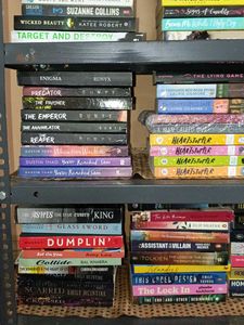 Diverse Bestselling Novels Collection