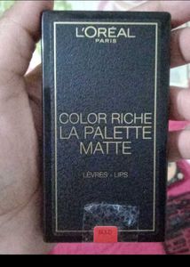 Combos Of Artificial Nails+ Sponge+ Lip Pallette