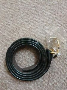 Trendy Belt