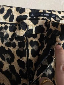 Zara Trouser Pants