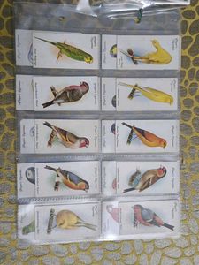 Vintage Bird Cards