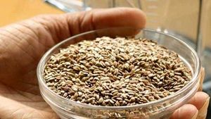 anti dandruff shampoo