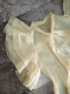 party wear Organza lemon Top