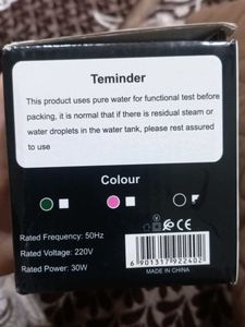 Mini Iron for Travel