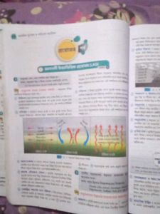 Textbook for Class 10