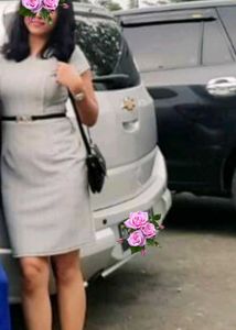 Elegant &amp; Beautiful Imported Dress