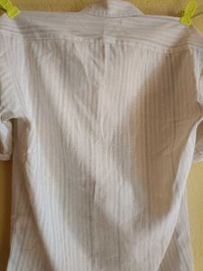 Man&#39;s T- Shirt