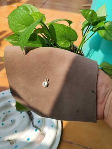 Assorted Pendent Lot