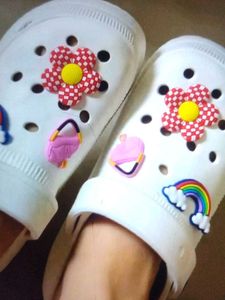 Crocs in 200
