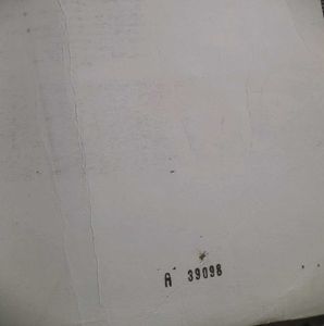 (*2023)Class 11 Biology Textbook(HARDCOVER)