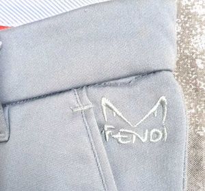 Light Grey Chinos