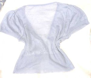 Net Crop Top