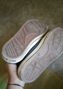 Converse Sneakers