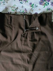 Brown Skirt